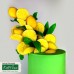 Molde Silicone Citrus