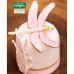 Molde Silicone Libelinhas e Junco