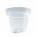 10 Tacinhas Catering Vaso 120ml