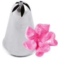 Bico de Decoração Estrela 48