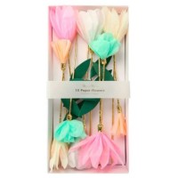 Flores  Jardim Decorativas