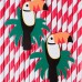 12 Palhinhas Tucano