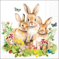 Guardanapos Família Coelhos 