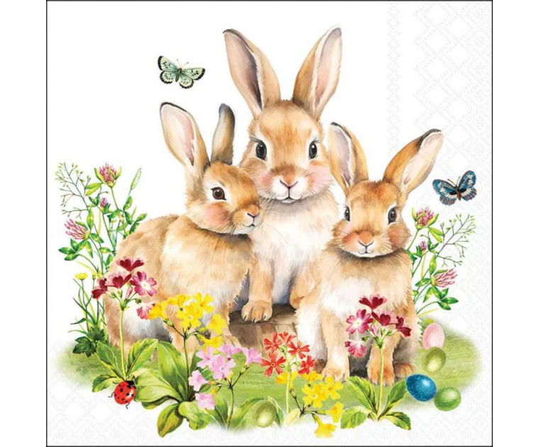 Guardanapos Família Coelhos 