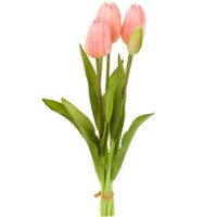 Bouquet 5 Tulipas Rosa Claro