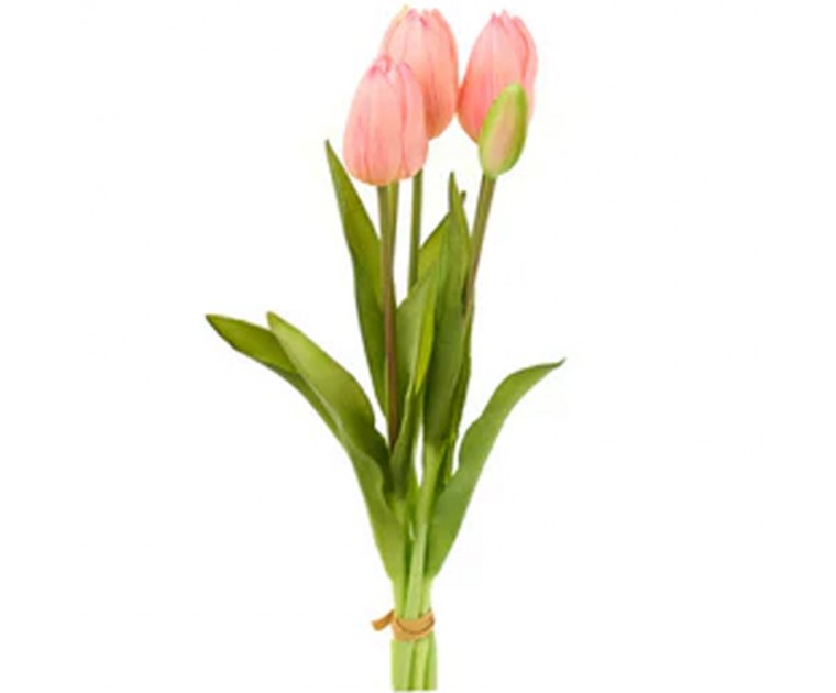 Bouquet 5 Tulipas Rosa Claro