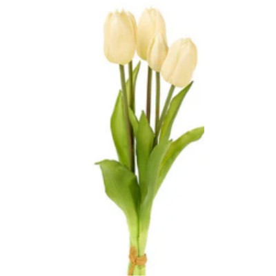 Bouquet 5 Tulipas Brancas