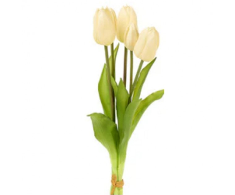 Bouquet 5 Tulipas Brancas