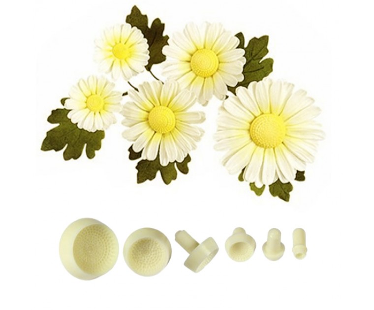 Set 6 Centros Marcadores de Flores JEM