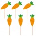 6 Picks Decorações Cenoura