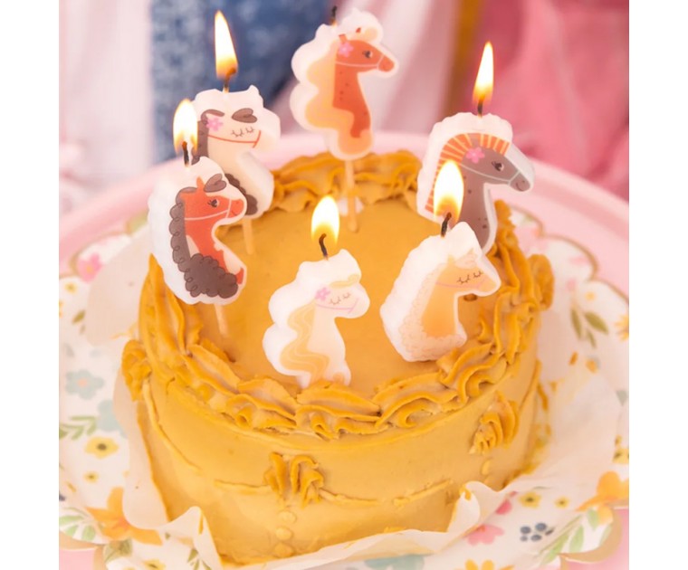 5 Velas Cavalos