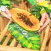 Conj. 3 Pratos folhas de bananeira tropical Aloha