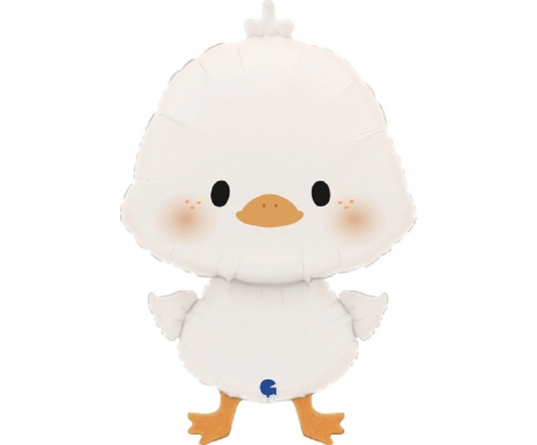 Balão Pato Branco