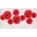 3 Rosetas Rosa Forte 20-30