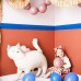Balão Gatinha com Laço