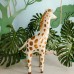 Balão Chão Girafa