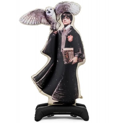 Balão Harry Potter com Hedwig