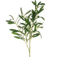 Ramo de oliveira, 91 cm