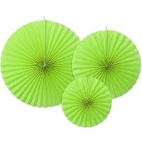 Mix 3 Rosetas Verdes