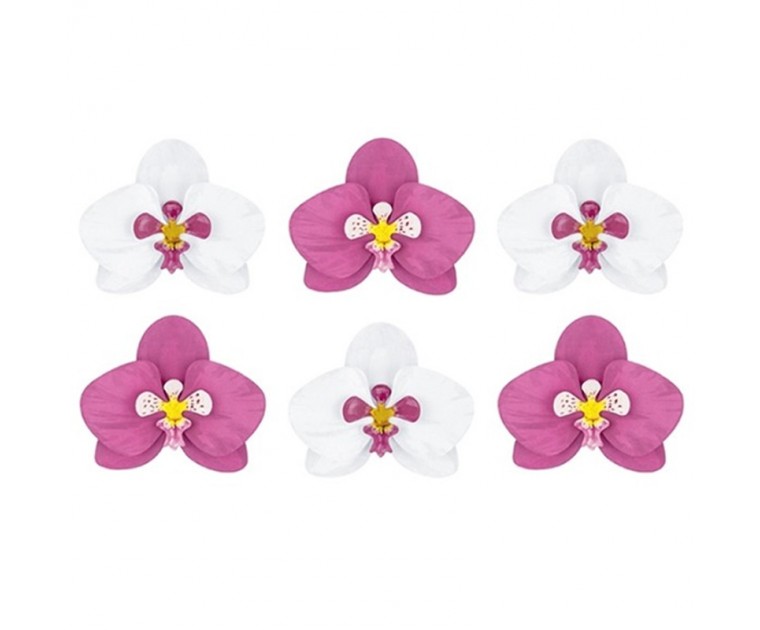 Orquídeas Ornamentais