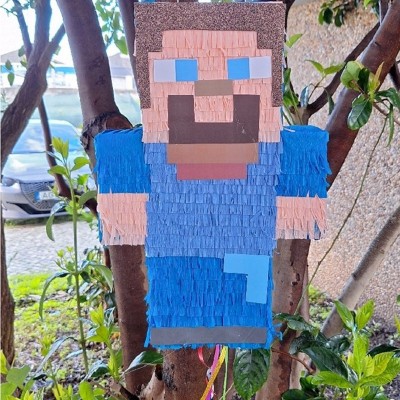 Pinhata Minecraft