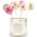 Forma Silicone Cake Pops***