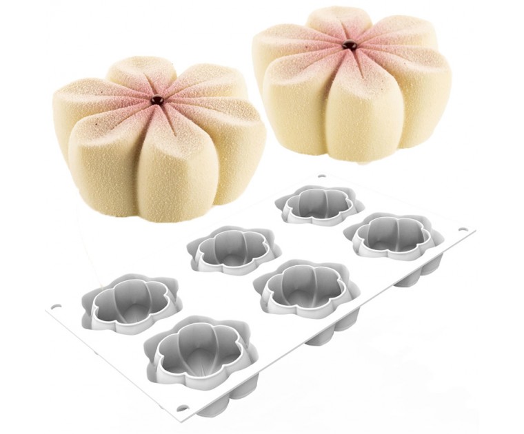 Forma Silicone 6 Cavidades Hana 87