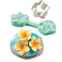 Molde Silicone com Cortador Flor FRANGIPANI