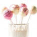 Pack 50 Sticks Cake Pops Pequenos