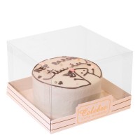 Caixa Bento Cake Celebre