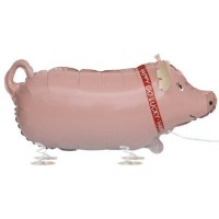 Balão Porco Andante