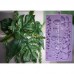Molde Silicone Folhagem