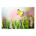 Molde Silicone Wild Meadow