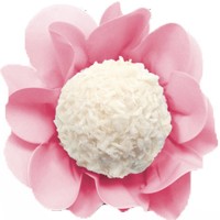Forminha Doces e Brigadeiros Pétala Rosa