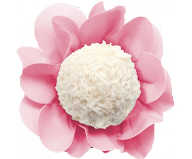 Forminha Doces e Brigadeiros Pétala Rosa